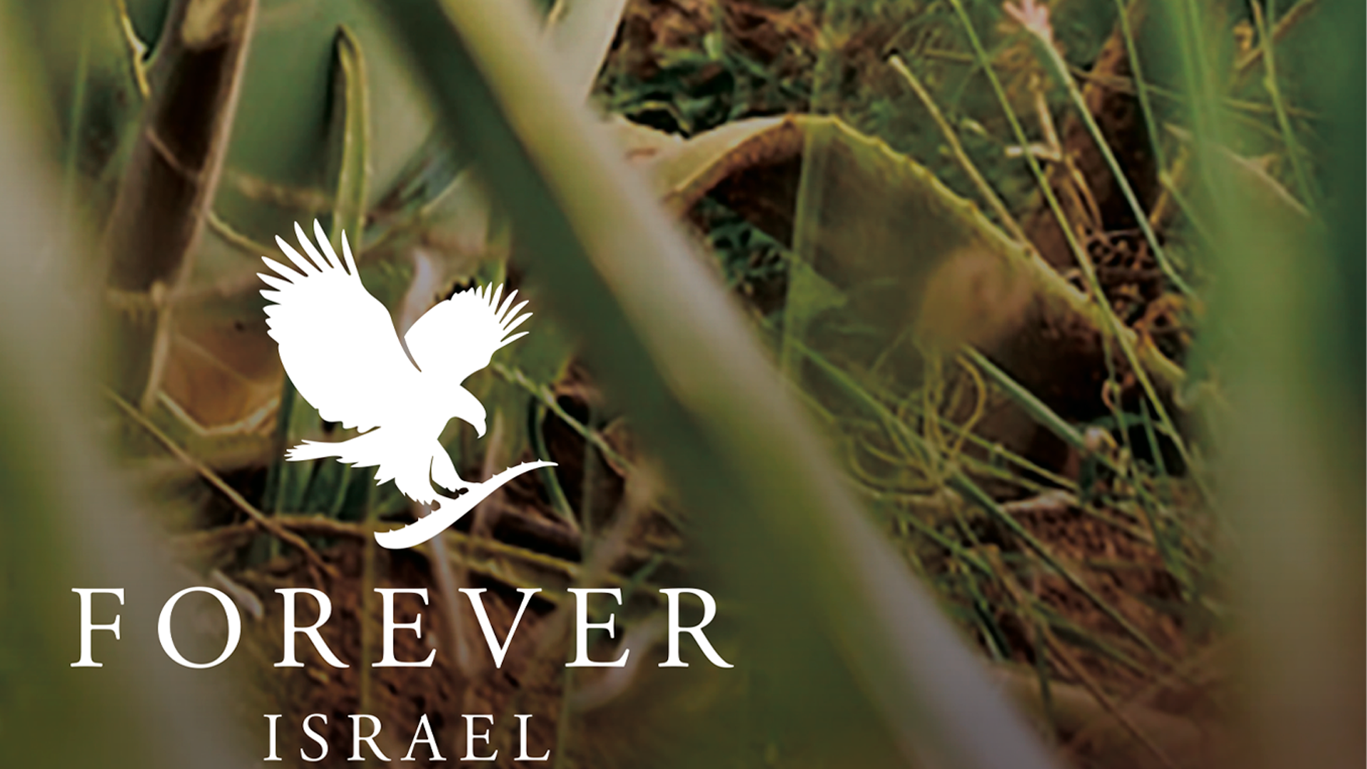 שירות וייעוץ מקצועי Restore Massage Therapy