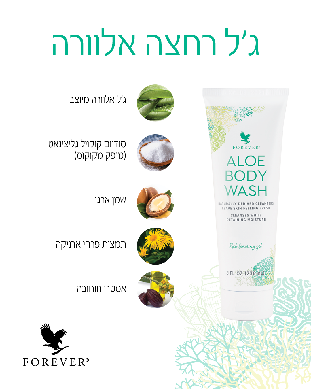 מרכיבי תחליב רחצה אלוורה